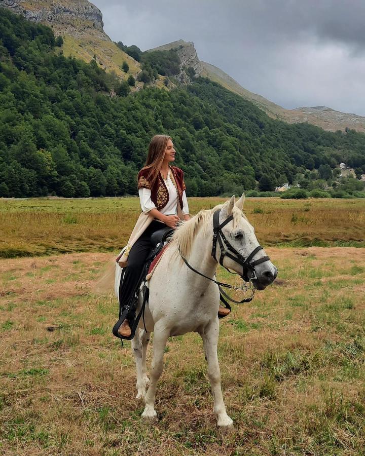 Katun Mokra Accommodation & Horseback Riding Подгориця Екстер'єр фото
