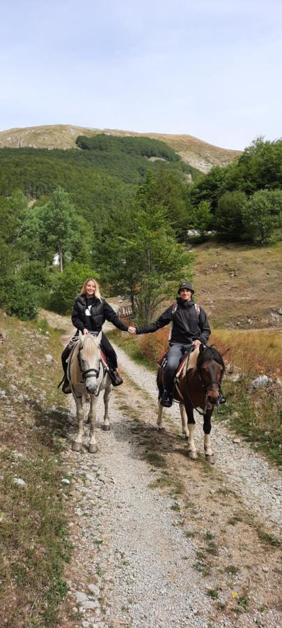 Katun Mokra Accommodation & Horseback Riding Подгориця Екстер'єр фото
