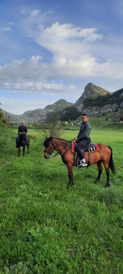 Katun Mokra Accommodation & Horseback Riding Подгориця Екстер'єр фото
