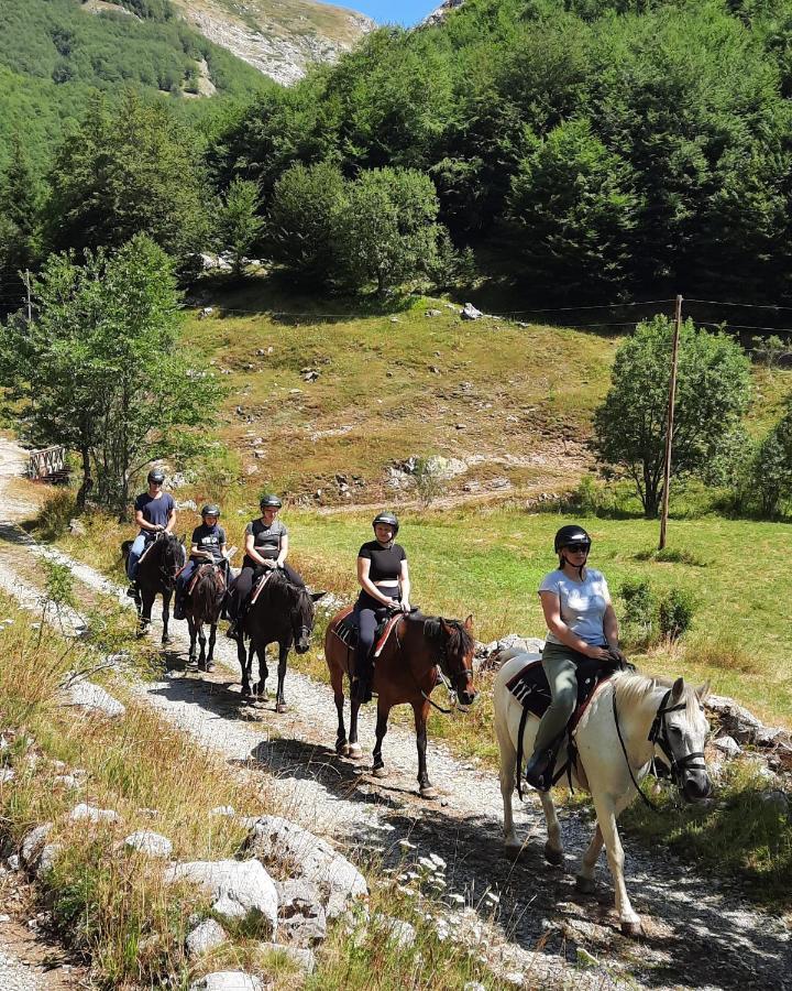 Katun Mokra Accommodation & Horseback Riding Подгориця Екстер'єр фото
