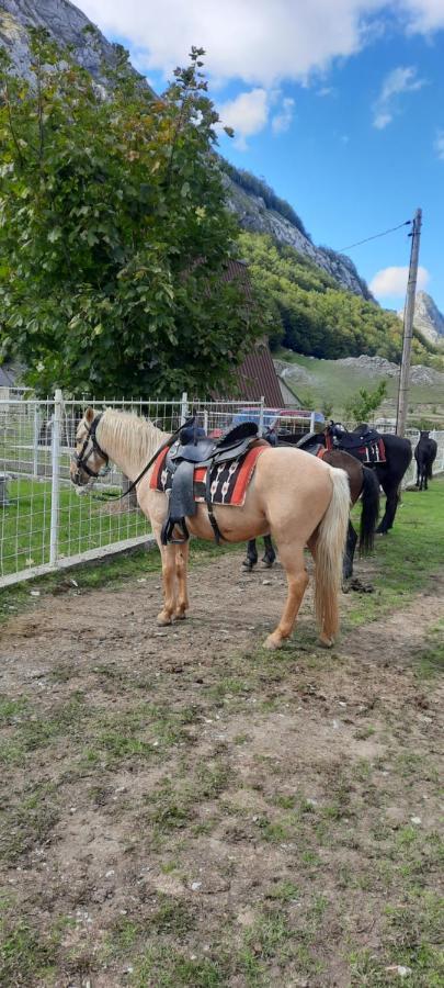 Katun Mokra Accommodation & Horseback Riding Подгориця Екстер'єр фото