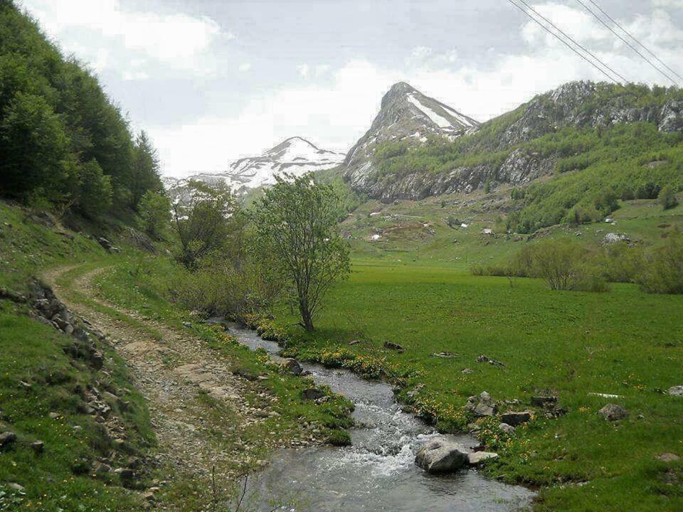 Katun Mokra Accommodation & Horseback Riding Подгориця Екстер'єр фото